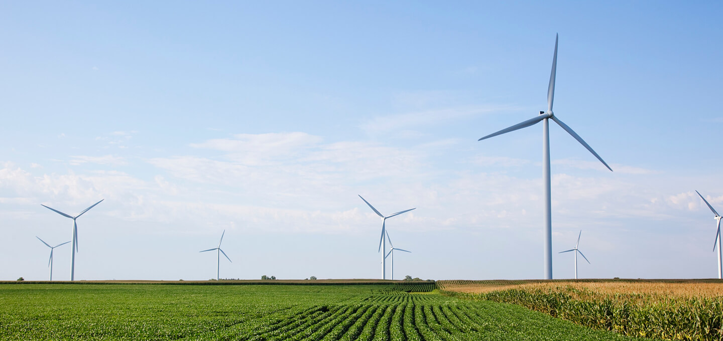 Home-grown solar expert wins national energy prize